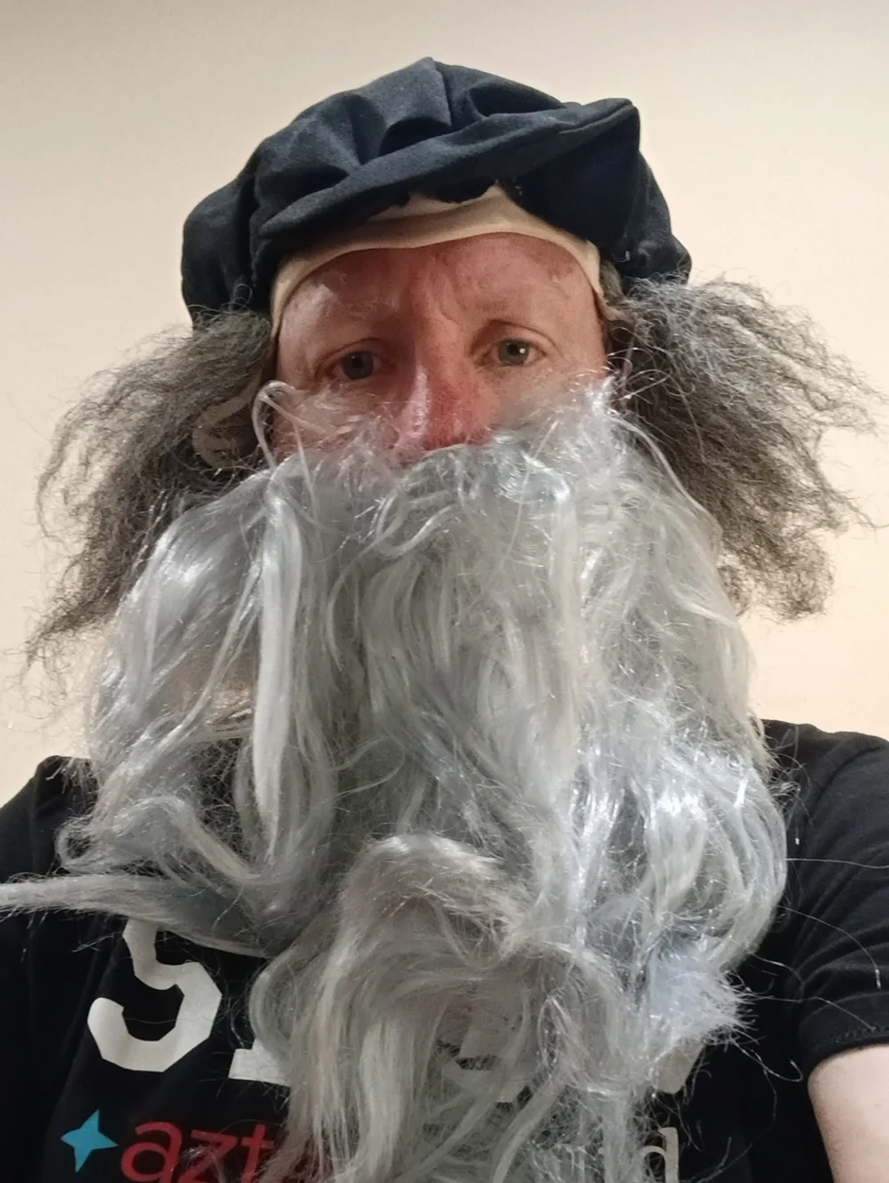 Leonardo da Vinci Halloween Instant Disguise